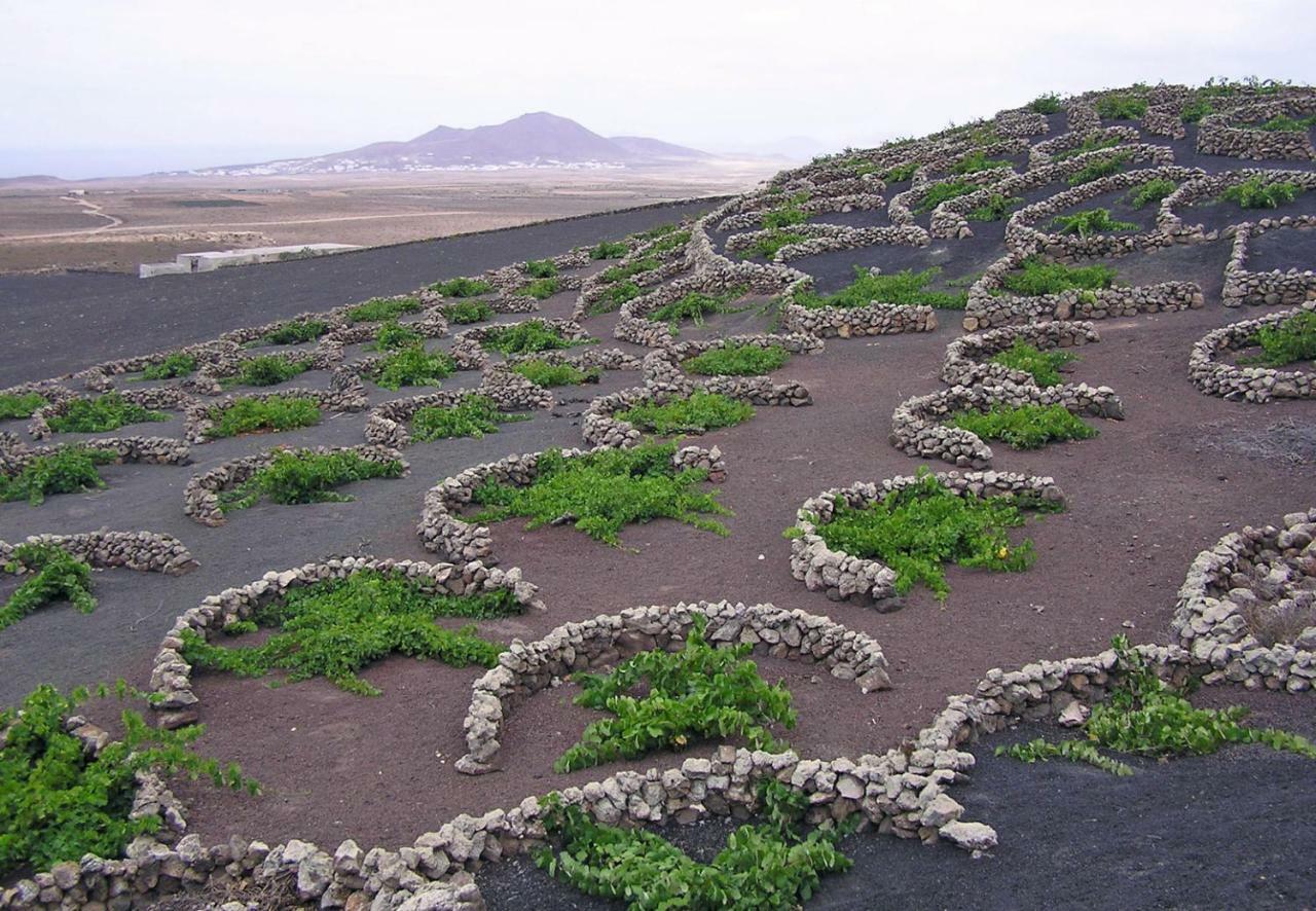 Penzion Casa El Gallo Teguise  Exteriér fotografie